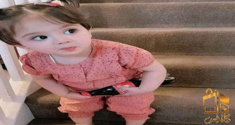 مطلوب فورا أمن وحراسه المعادي